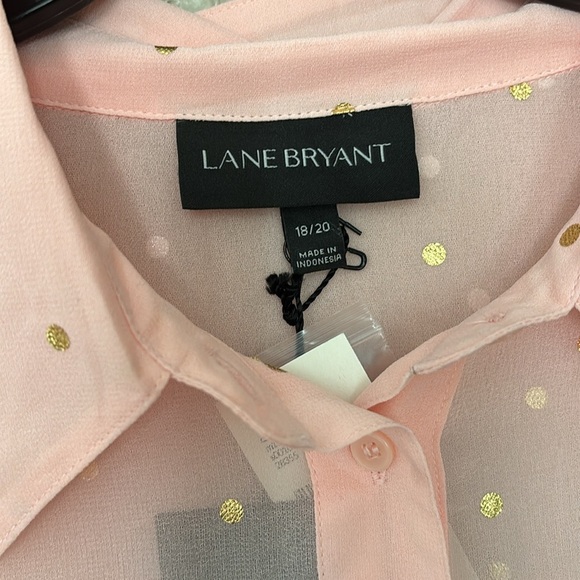Womens Plus Size Lane Bryant Pink Long Sleeve Sheer Polka Dot Button Up 18/20 2X - Picture 3 of 8